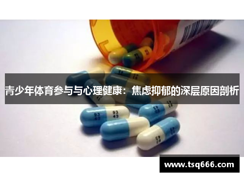 青少年体育参与与心理健康：焦虑抑郁的深层原因剖析